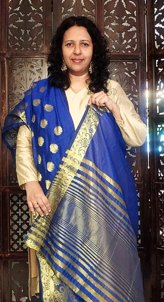 DUPATTA WITH A PALLU (blue with gold border)